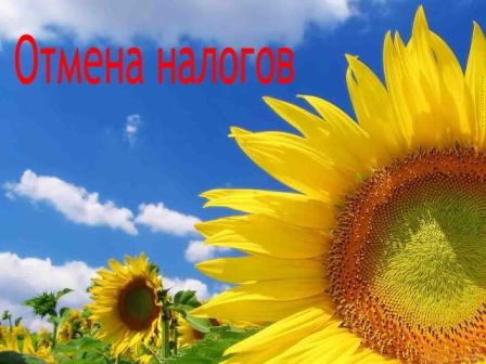 Образование и медицина без налогов Образование и медицина без налогов