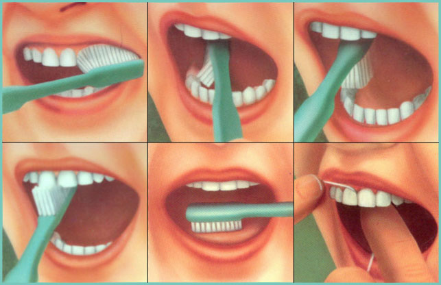  Министерство зубной щётки