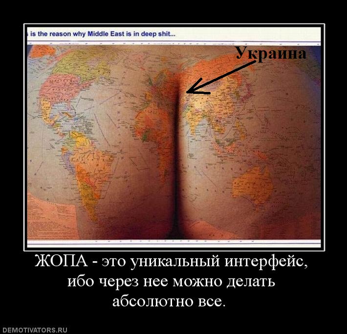 Задница Задница