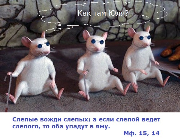 TVi. Слепые ведут слепых TVi. Слепые ведут слепых