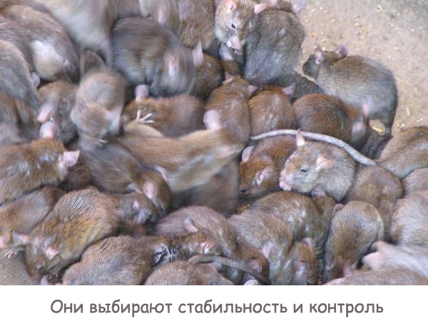 Психология голодных Психология голодных