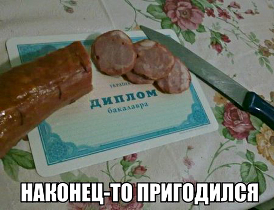Бросай вуз, купи диплом! Бросай вуз, купи диплом!